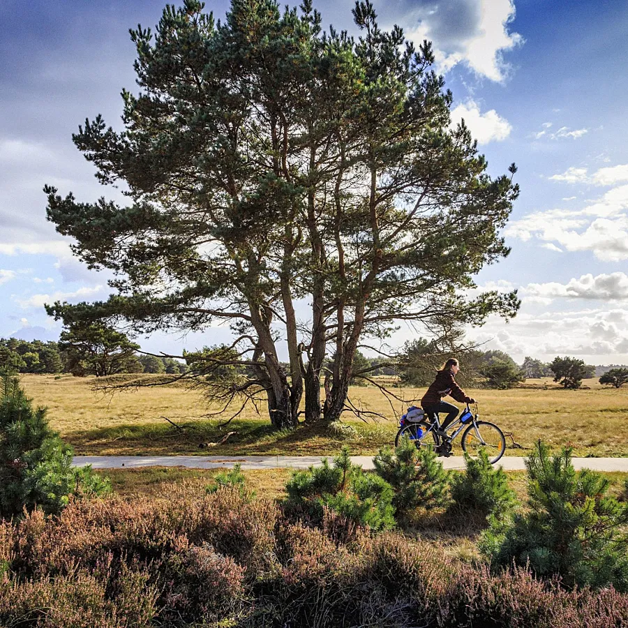 Camping Veluwe omgeving 3