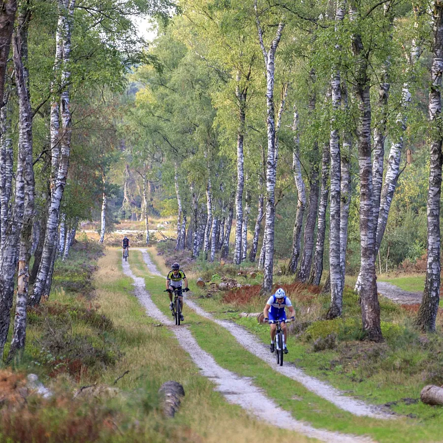 Camping Veluwe omgeving 6