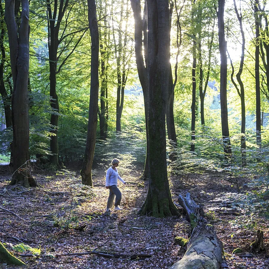 Camping Veluwe omgeving 10