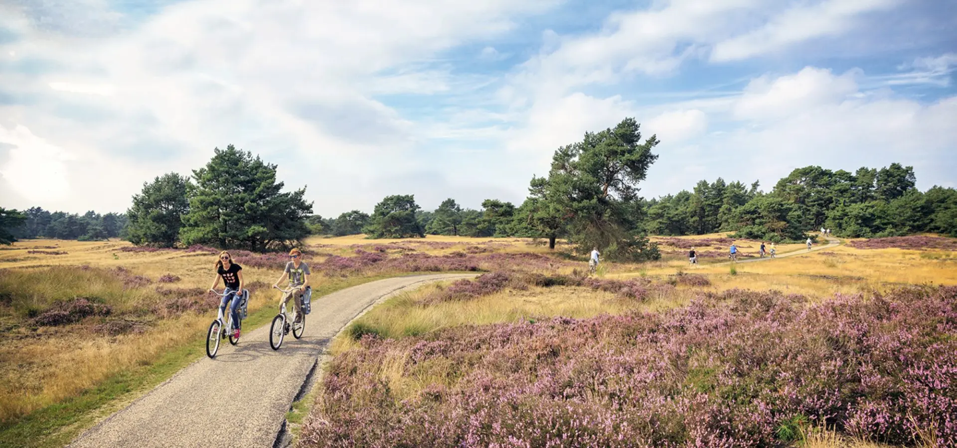 Natuur fietsen hoge veluwe 1