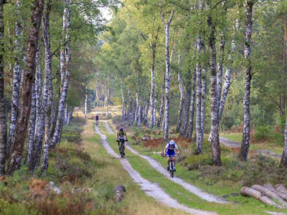 Camping Veluwe omgeving 6