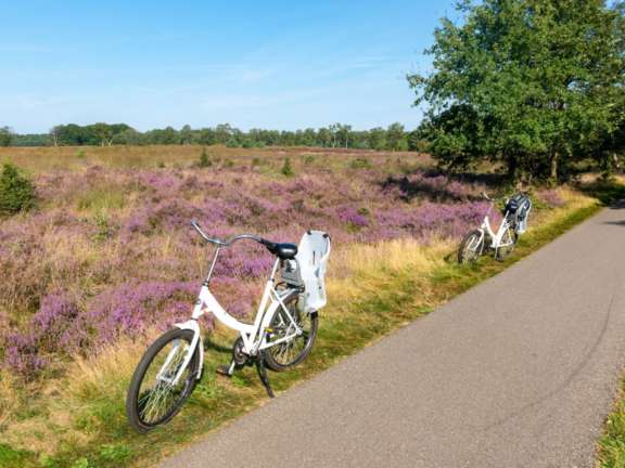 Fietsen veluwe 1