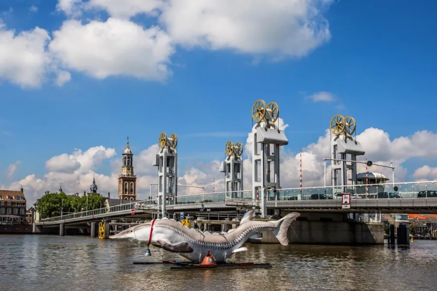 Stadsbrug en Kamper Steur Foto Tennekes