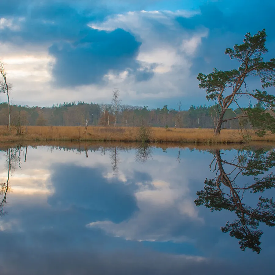 Camping Veluwe omgeving 1