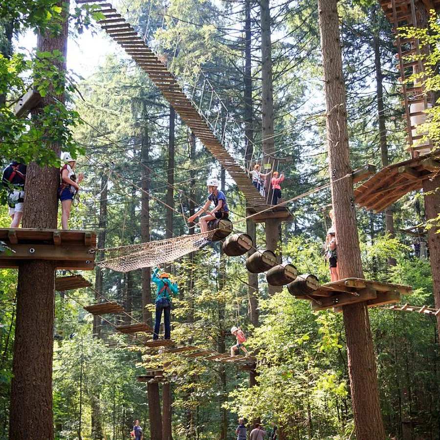 Klimbos veluwe Apeldoorn