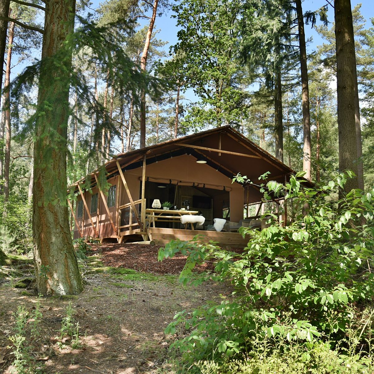 Safaritent op de Veluwe Camping Samoza 37