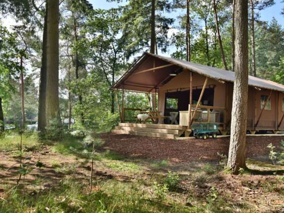 Veluwe Lodge 6 Personen Camping Samoza