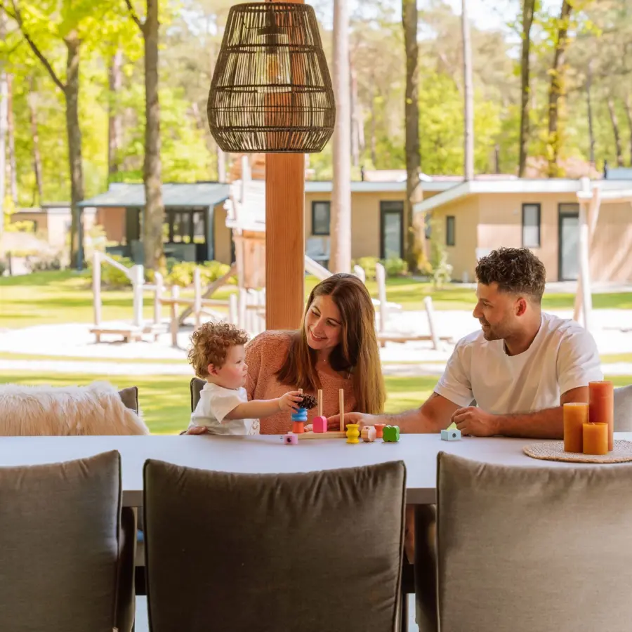 Chalet huren Veluwe 136 1